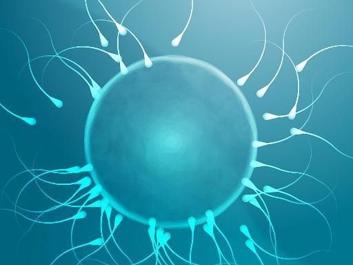 实拍精子进入女人体内的全过程——震撼！