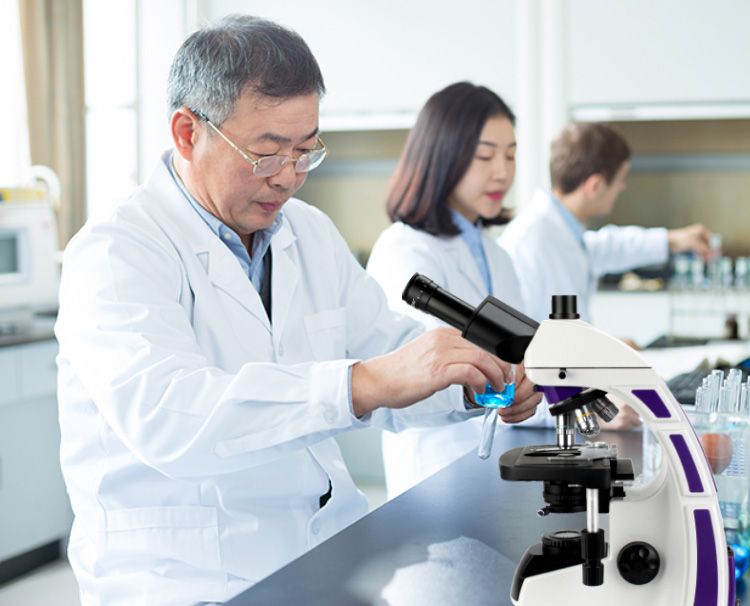 生物电子游戏的使用方法与具体步骤有哪些？