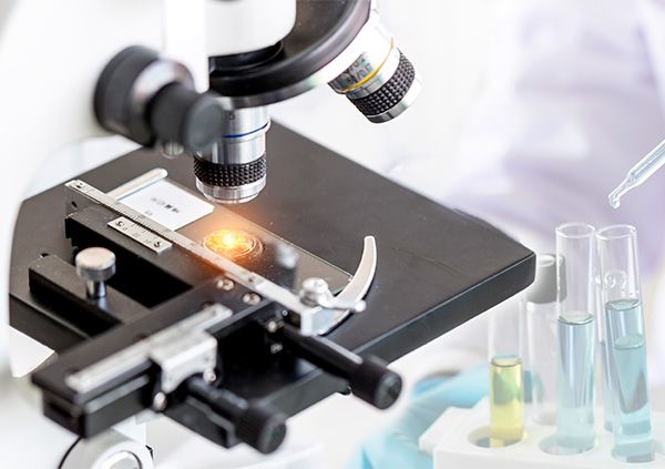 怎样挑选合适的生物电子游戏