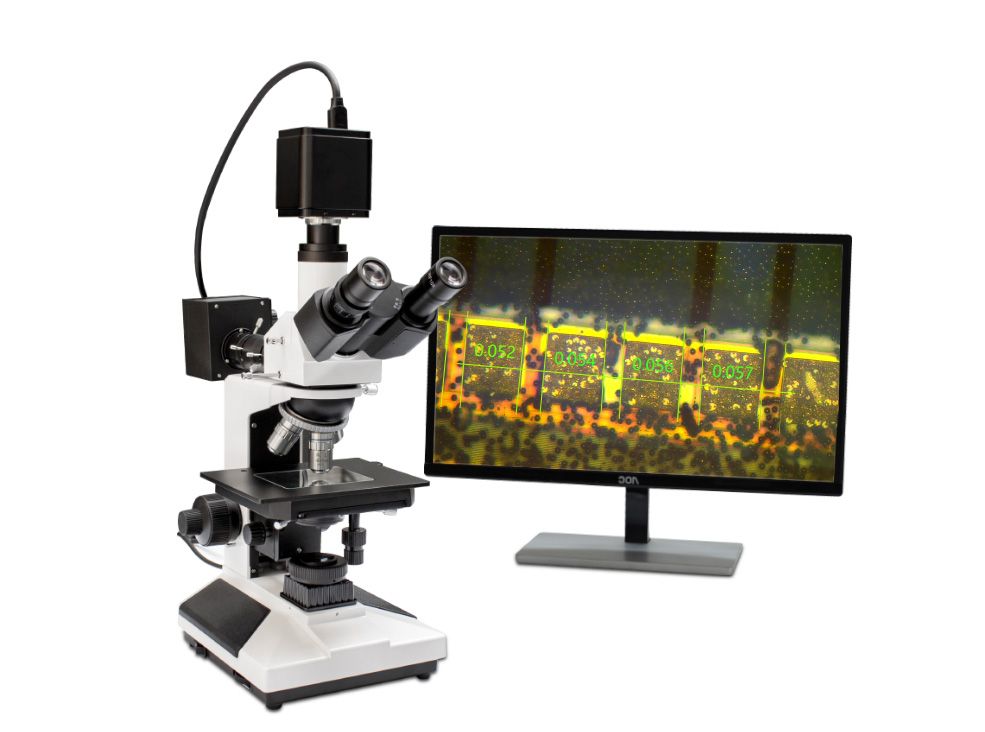 金相电子游戏的放大倍数，你知道吗？
