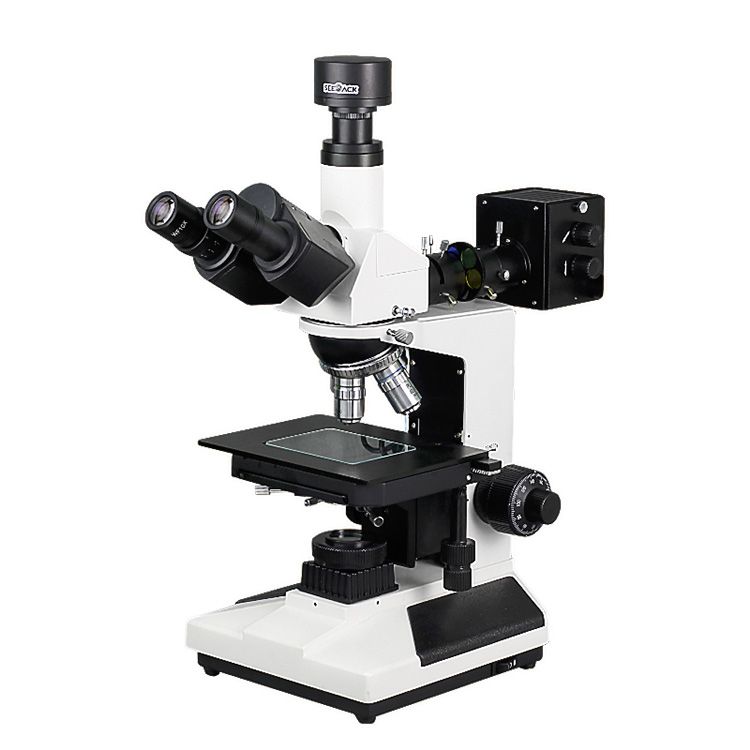 金相电子游戏 2000/2000L